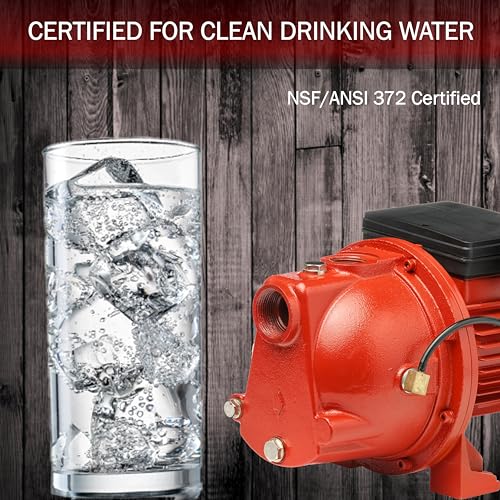 Red Lion RL-SWJ100 1 HP, 17 GPM Dual Voltage (115/230 Volts) Cast Iron Shallow Well Jet Pump, Red, 97081001