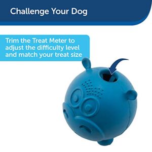 PetSafe Busy Buddy Hippster Dog Chew Toy - Treat Dispenser - Small Medium/Large