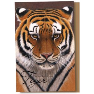 tree-free greetings econotes 12 count siberian tiger all occasion notecard set with envelopes, 4 x 6 inches (fs66732)