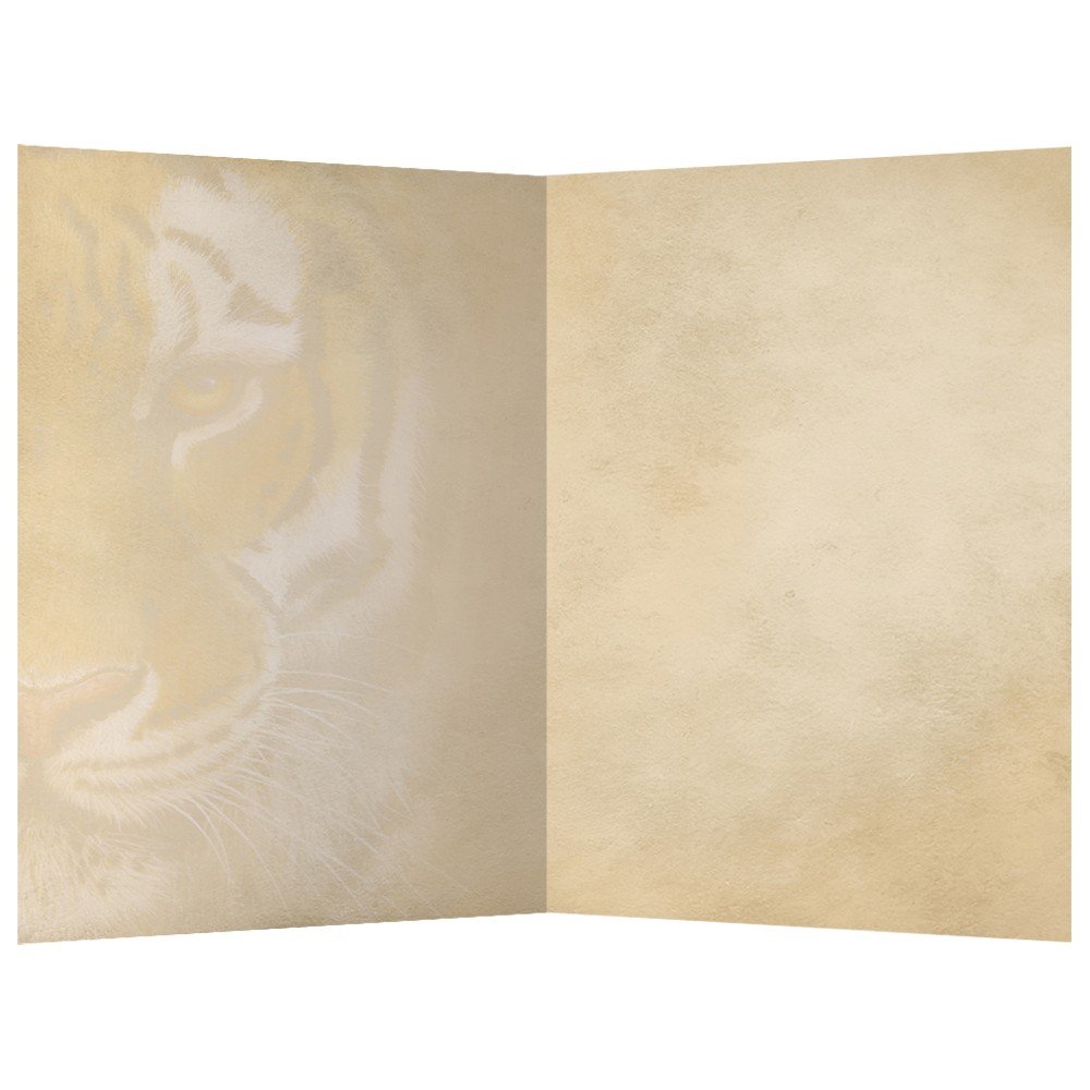 Tree-Free Greetings EcoNotes 12 Count Siberian Tiger All Occasion Notecard Set with Envelopes, 4 x 6 Inches (FS66732)