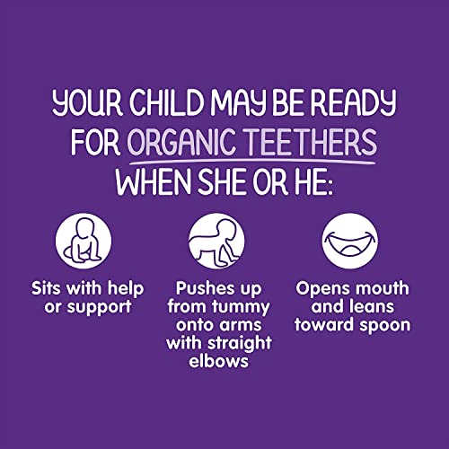 Happy Baby Gentle Teethers Organic Teething Wafers Blueberry Purple Carrot, 0.14 Ounce Packets (Box of 12) Soothing Rice Cookies for Teething Babies Dissolves Easily, Gluten Free No Artificial Flavor