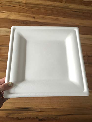 Susty Party 10-Inch Compostable Square Plates (50-Count), Sugarcane Heavy Duty Disposable Biodegradable Plate for Dinner, White