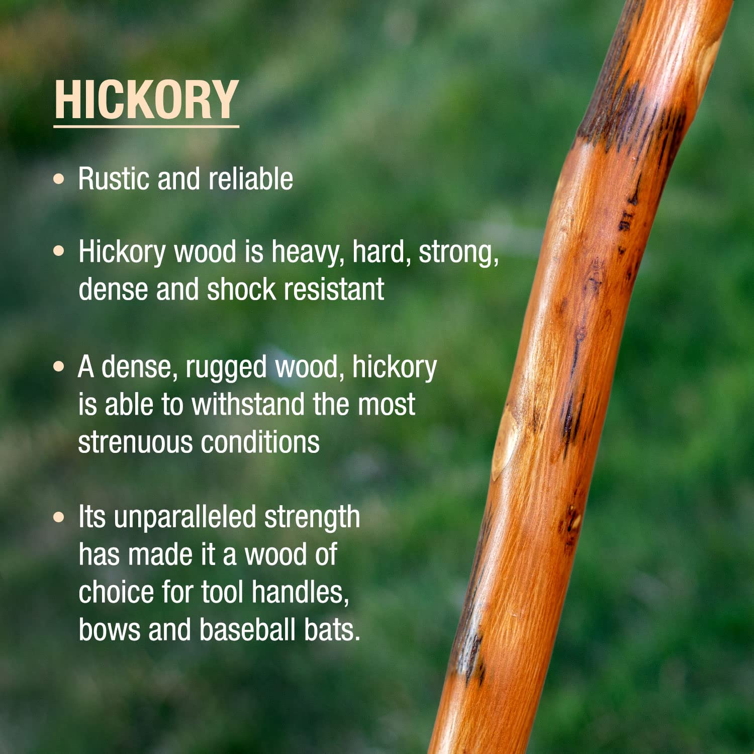 Brazos Rustic Wood Walking Stick, Hickory, Traditional Style Handle, for Men & Women, Made in the USA, 55"