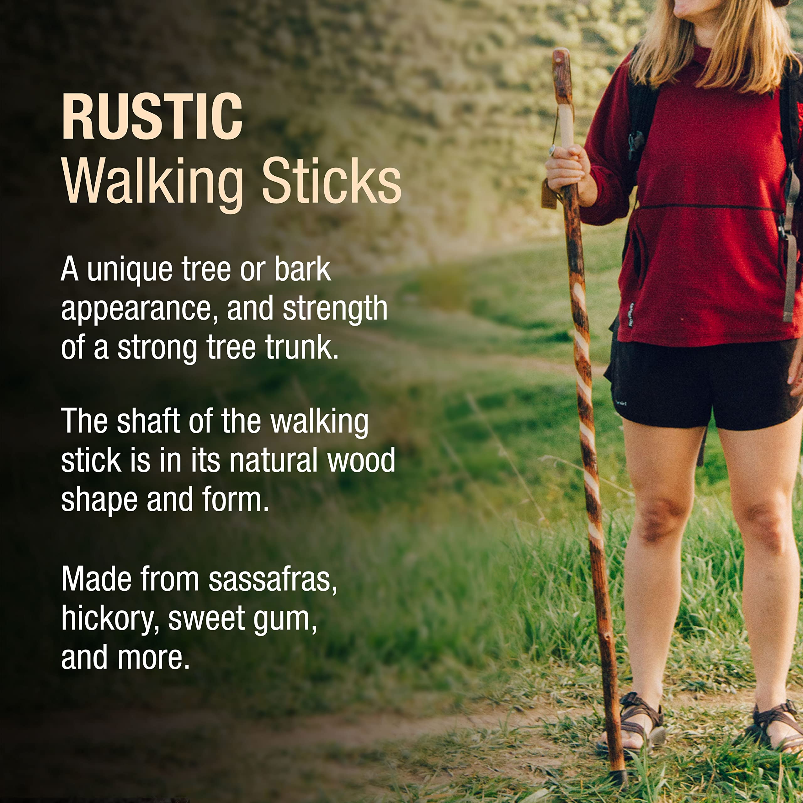 Brazos Rustic Wood Walking Stick, Twisted Hickory, Traditional Style Handle, for Men & Women, Made in the USA, 55"