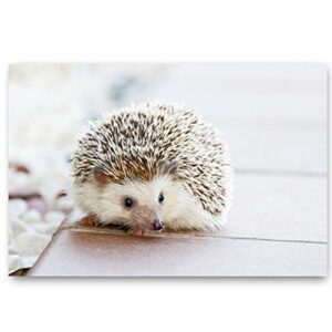 BABY ANIMALS postcard set of 20 postcards. Animal babies post card variety pack. Made in USA.