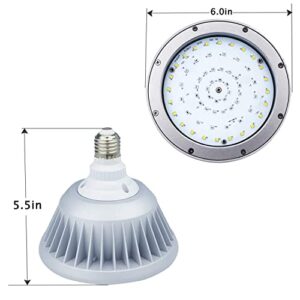 Waterproof 120V 40W Color Changing LED Pool Light Bulb for Inground Swimming Pool,Fit in for Pentair and Hayward Pool Light Fixtures (120V RGBW)