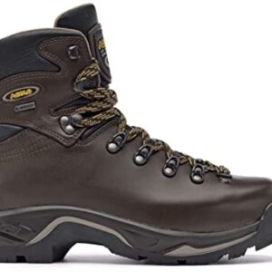 Asolo Men's TPS 520 GV EVO Long Distance, Backpacking, Trekking, Technical Terrian Hiking Boots (Chestnut, 11)