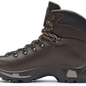 Asolo Men's TPS 520 GV EVO Long Distance, Backpacking, Trekking, Technical Terrian Hiking Boots (Chestnut, 11)