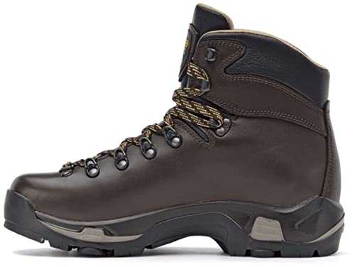 Asolo Men's TPS 520 GV EVO Long Distance, Backpacking, Trekking, Technical Terrian Hiking Boots (Chestnut, 11)