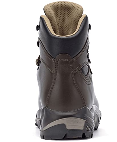 Asolo Men's TPS 520 GV EVO Long Distance, Backpacking, Trekking, Technical Terrian Hiking Boots (Chestnut, 11)