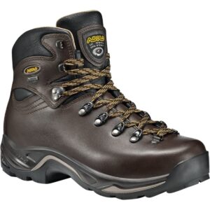 Asolo Women's TPS 520 GV EVO Long Distance, Backpacking, Trekking, Technical Terrian Hiking Boots (Chestnut, 10)