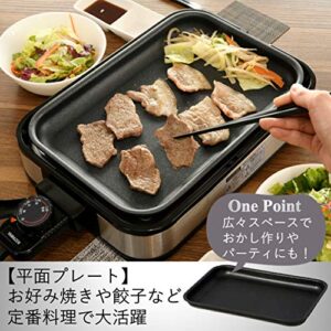 Yamazen (YAMAZEN) removable hot plate (with takoyaki plate and flat plate) YHA-W100 (S)