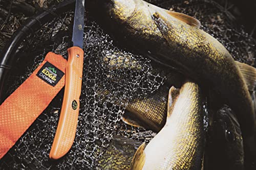 OUTDOOR EDGE Fish & Bone - Folding Fillet Knife with 5.0" 440A Stainless Steel Blade for Fish and processing big game - Pocket Clip (Orange)