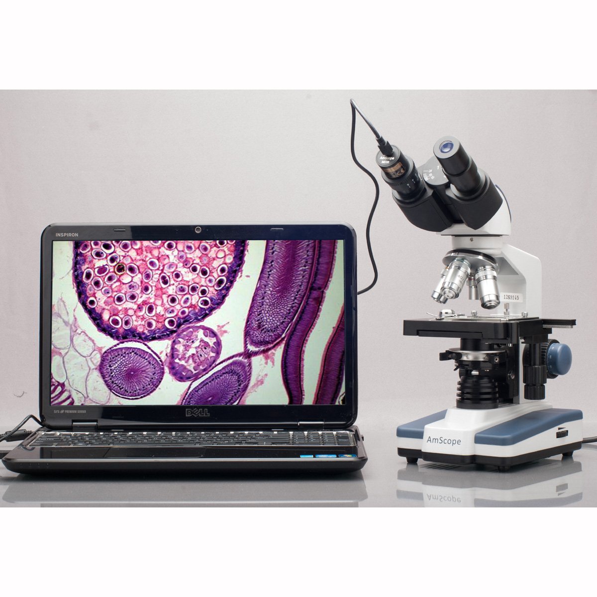 AmScope MD500 5.0 Mega Pixel USB Still Photo & Live Video Microscope Imager Digital Camera 5MP, Windows XP/Vista/7/8/10