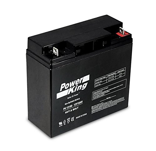 Replacement Battery for Model # RD907500P 7,500-Watt 420 cc Gasoline Powered Electric Start Portable Generator Replacement Battery Beiter DC Power