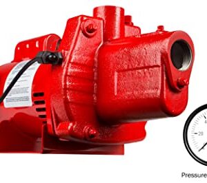 Red Lion RJS-100-PREM 1 HP, 23 GPM, 115/230 Volt, Premium Cast Iron Shallow Well Jet Pump, Red, 602208, 9.1 x 17.8 x 9.1 inches