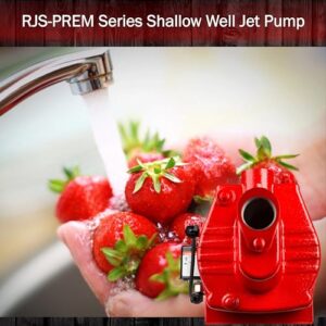 Red Lion RJS-50-PREM 1/2 HP, 12 GPM, 115/230 Volt, Premium Cast Iron Shallow Well Jet Pump, Red, 602206