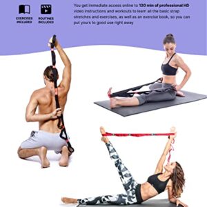 YOGA EVO Exercise Band with Loops for Physical Therapy Yoga, Exercise and Flexibility Elastic Fitness Stretch Band + Exercise Instructions & Carry Bag