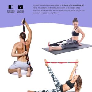 YOGA EVO Exercise Band with Loops for Physical Therapy Yoga, Exercise and Flexibility Elastic Fitness Stretch Band + Exercise Instructions & Carry Bag