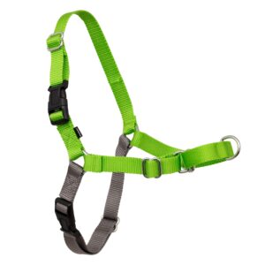 PetSafe Easy Walk Dog Harness - No Pull Dog Harness - Small, Apple Green