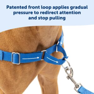 PetSafe Easy Walk Dog Harness - No Pull Dog Harness - Small, Apple Green