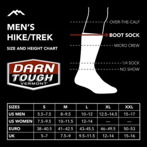 Darn Tough Men's Hiker Book Sock Full Cushion (Style 1405) Merino Wool, Black (Large 10-12) - 6 Pack