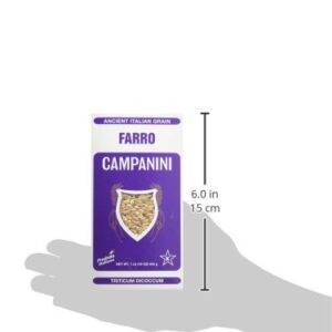 Farro Campanini, 1 lb.