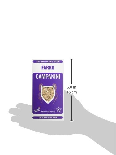 Farro Campanini, 1 lb.