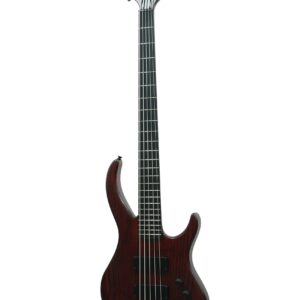 IYV, 5-String Electric Bass, Trans red (IBA-500)