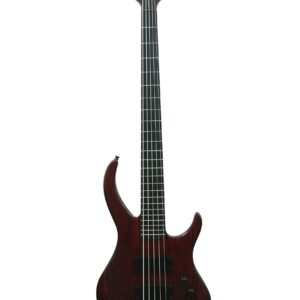 IYV, 5-String Electric Bass, Trans red (IBA-500)