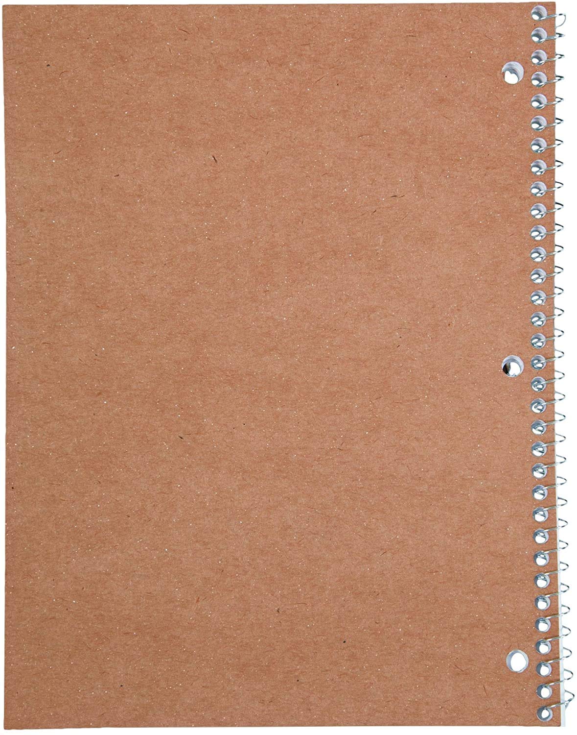 Mead Spiral Notebooks, 1 Subject, College Ruled, 70 Sheets, 24 Pack (73705)