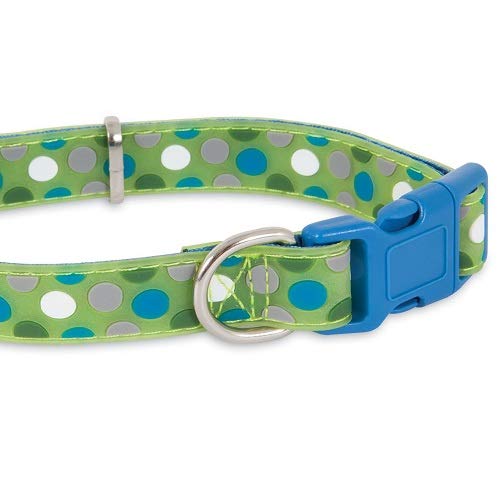 Petmate GID Easy to Clean Dots Adjustable Leash, 3/4" x 14-20", Green Dots, Green