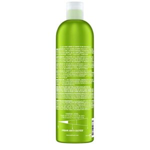 TIGI Bed Head Urban Antidotes Re-Energize Shampoo 25.36 oz (Pack of 2)