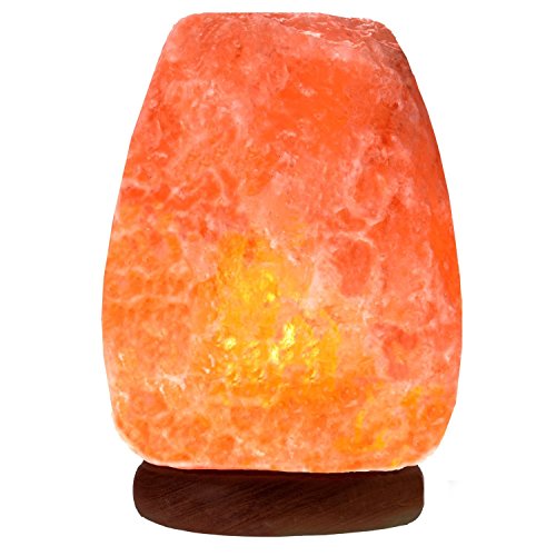 BULBMASTER Himalayan Light Bulb Replacement for Medium/Large Himalayan Salt Lamps Rocks Long Lasting Incandescent bulbs E12 Candelabra Base Dimmable Pack of 6 (25W-T6-6PK)