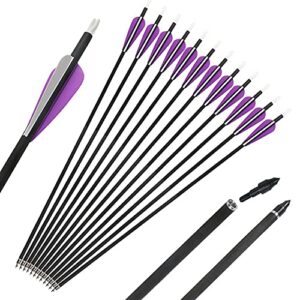 IRQ Archery 31Inch Carbon Arrow Practice Hunting Arrows with Removable Tips for Compound & Recurve Bow(Pack of 12)