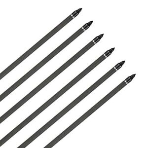 IRQ Archery 31Inch Carbon Arrow Practice Hunting Arrows with Removable Tips for Compound & Recurve Bow(Pack of 12)