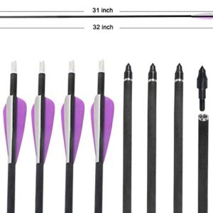 IRQ Archery 31Inch Carbon Arrow Practice Hunting Arrows with Removable Tips for Compound & Recurve Bow(Pack of 12)