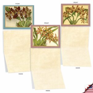 The Best Card Company - 10 Boxed Note Cards with Flowers - Blank Assorted Floral Notecards Bulk (4 x 5.12 Inch) - Tiger Orchids M10037BK