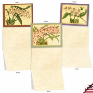 The Best Card Company - 10 Boxed Note Cards with Flowers - Blank Assorted Floral Notecards Bulk (4 x 5.12 Inch) - Tiger Orchids M10037BK