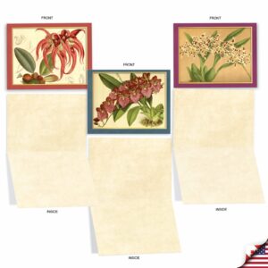 The Best Card Company - 10 Boxed Note Cards with Flowers - Blank Assorted Floral Notecards Bulk (4 x 5.12 Inch) - Tiger Orchids M10037BK