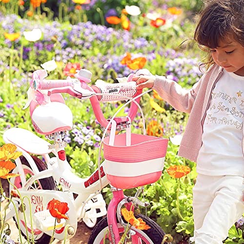 RoyalBaby Jenny Princess 20 Inch Kids Bike with Enclosed Chain Guard, Kickstand, Basket, Bell and Tool Kit for Ages 7 and Above, Pink EL