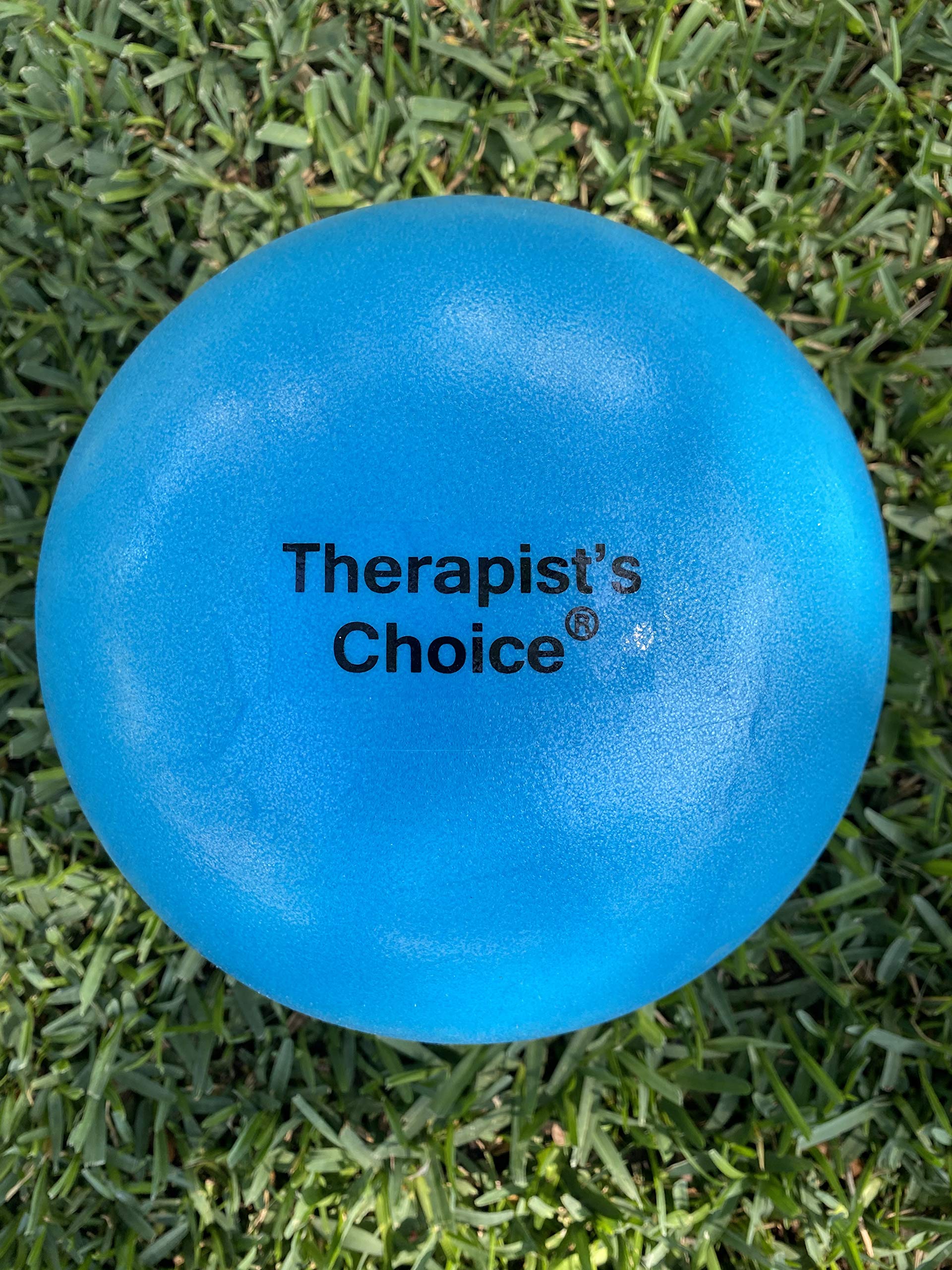 Therapist's Choice® Mini Exercise Ball 23cm (9" Diameter)