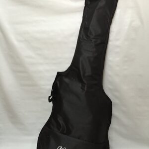 6 String Electric Guitar, Free Gig Bag