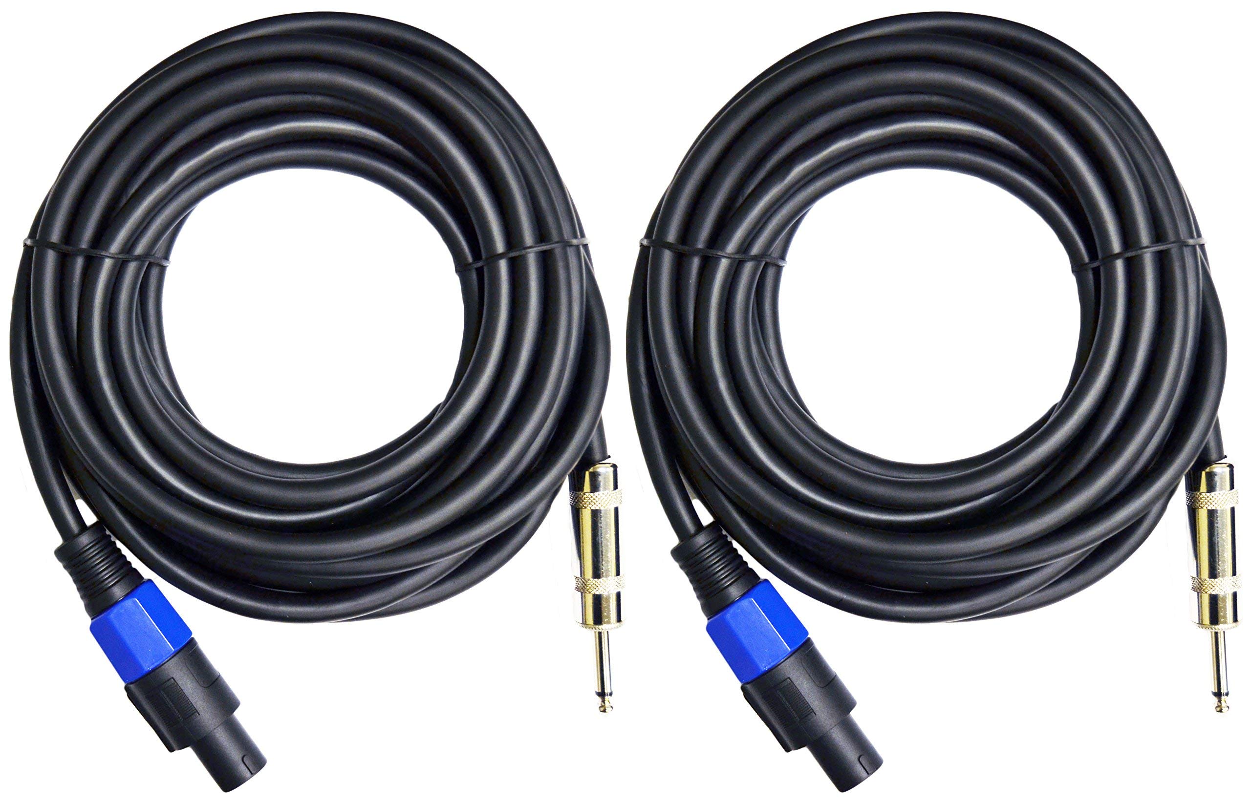 Ignite Pro 2X Speakon to 1/4" 25 Ft. True 12 Gauge Wire AWG DJ/Pro Audio Speaker Cable, Pair