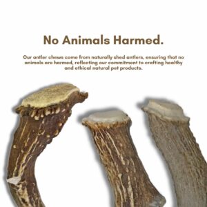 WhiteTail Naturals - Bulk Deer Antlers for Dogs (1 Pound Pack) Antler Chews - Naturally Shed, Long Lasting Dog Bones for Aggressive Chewers.