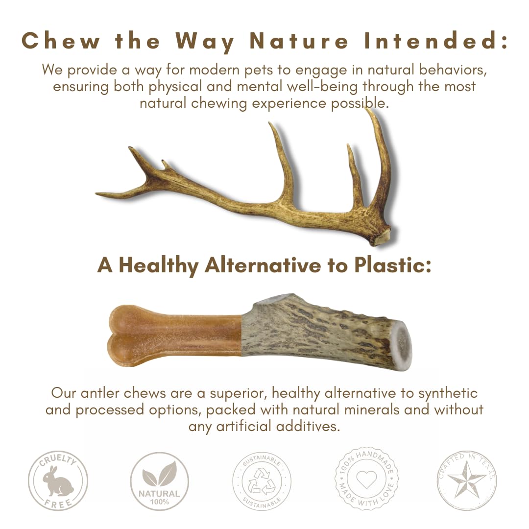 WhiteTail Naturals - Bulk Deer Antlers for Dogs (1 Pound Pack) Antler Chews - Naturally Shed, Long Lasting Dog Bones for Aggressive Chewers.