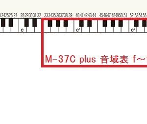 Suzuki Musical Instruments Melodica, red and blue (M-37C plus)