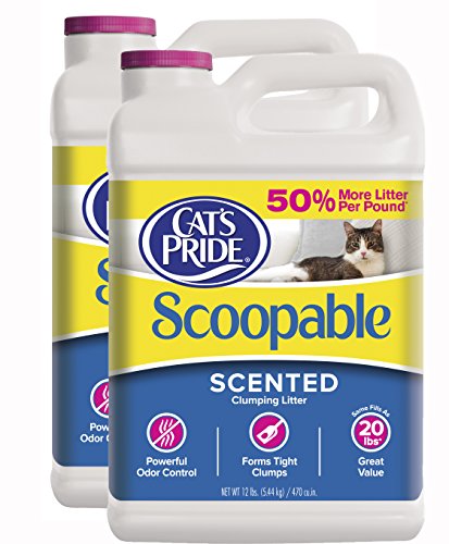 Cat's Pride Scoopable Scented Lightweight Clumping Litter 12 lb Jug (2-Pack)