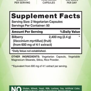 Nature's Truth Bilberry Fruit Extract Capsules | 2400mg | 100 Count | Non-GMO & Gluten Free Supplement