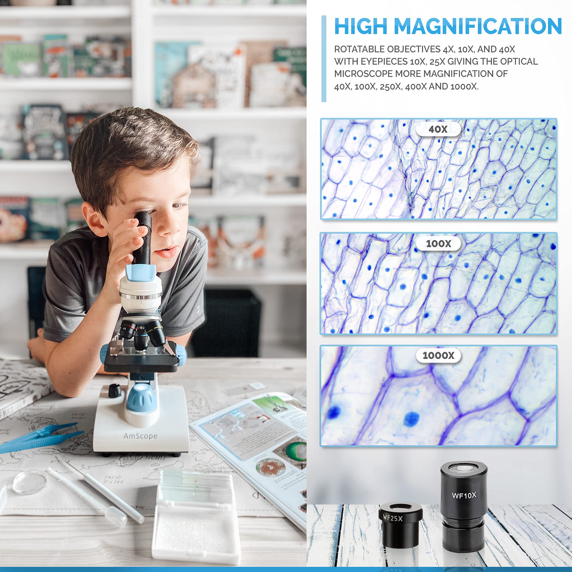 AmScope - Deluxe Student Microscope Set - 40X-1000X Dual Light, Glass Lens, Metal Frame Compound Microscope + Slides + Specimen Preparation Kit + Book - M162C-2L-WM-SP14